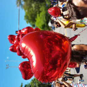 Carnaval 2017 – rio de janeiro0